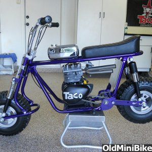 TACO 100 YELLOW JACKET