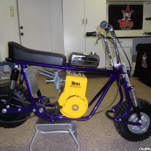 TACO 100 YELLOW JACKET