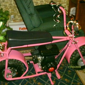 mini_bikes_0092