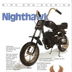 1981 Nighthawk