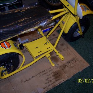 Dirt Bug Project