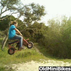 Proof that doodlebugs are dope!