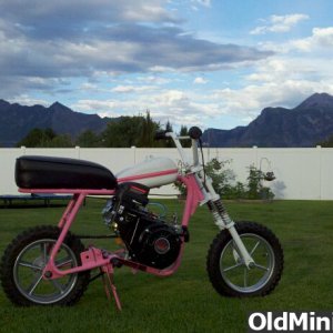 pink_mini_with_HF_6_5