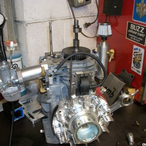 flathead