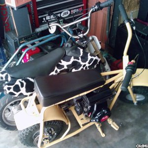 more toys