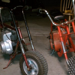 zebra 300 andn zebra 500
