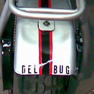 The Del Bug