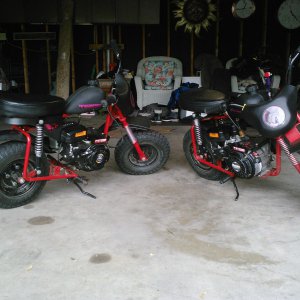 black frame + the green guy mini bike