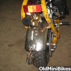 Picture_950