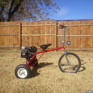 The Trike as in Mini