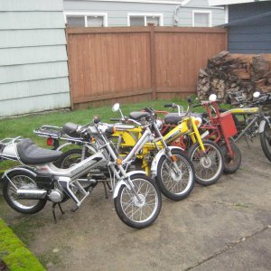 Bikes again!