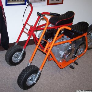 Taco_22_s_-_Gold_Red