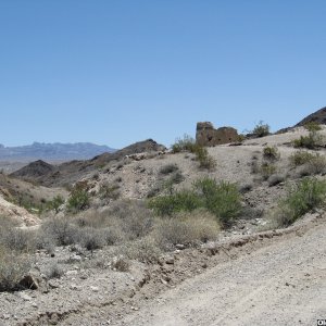 Lake Mohave ,AZ. | OldMiniBikes.com