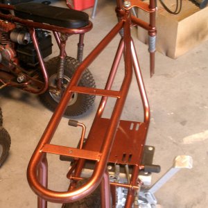 bronze zebra 300
