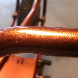 bronze zebra 300