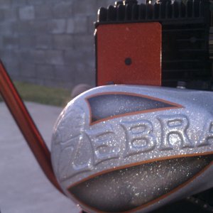 bronze zebra 300