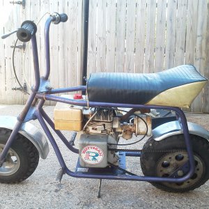 ruttman_goose1