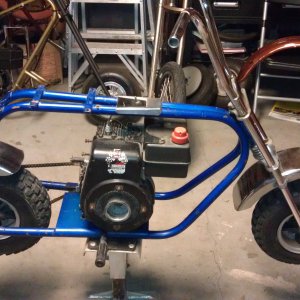 1975 cat slingshot