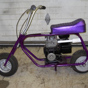 Purple CAT 03