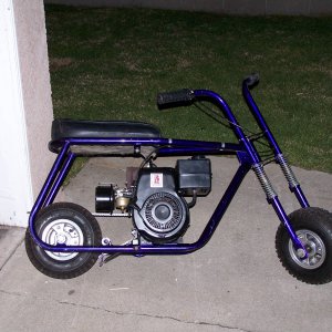Picture_1571
