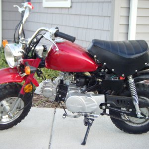 72cc Honda Monkey clone