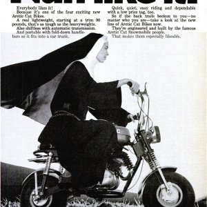 arcticcat_nun