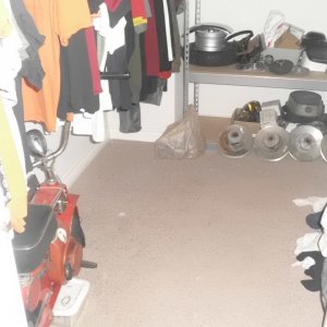 skat kitty in my closet