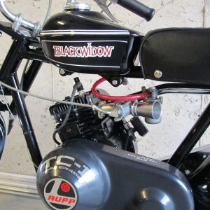71 Rupp Blackwidow Show Bike