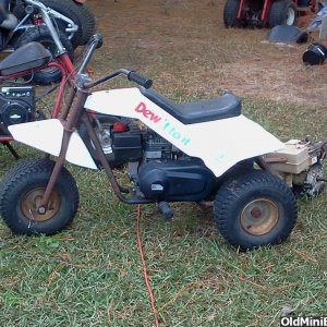 Bird 3 wheeler