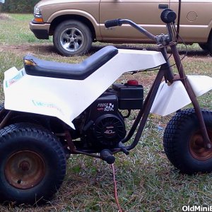 Bird 3 wheeler