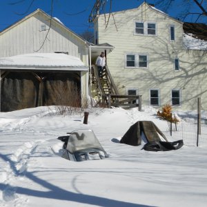 back yard after storm.