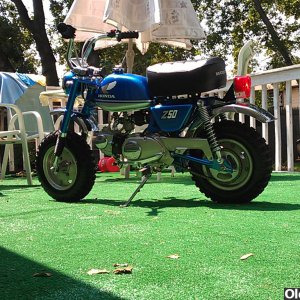 my honda z50