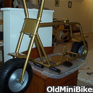 Golden Pinto