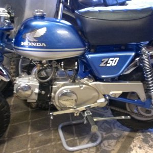 IMAG0208_my_z50