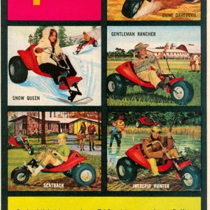 Alsport Tri-sport Ad