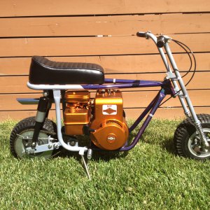 Taco Mini Bike 99