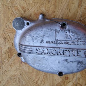 saxonette