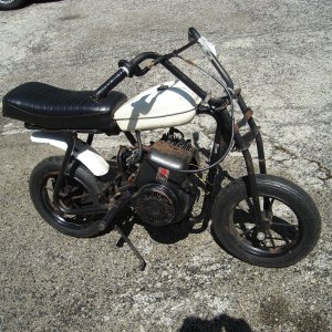 mini_bikes_0054