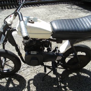 mini_bikes_0074