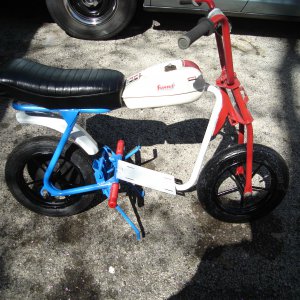 mini_bikes_020
