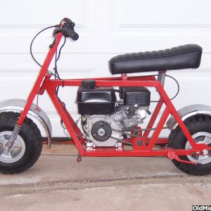 Hound_dog_0071