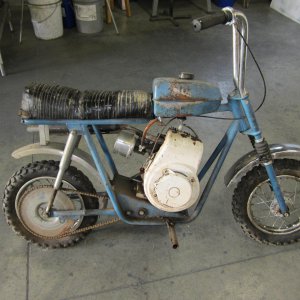 Fox_Mini_Bike_0011