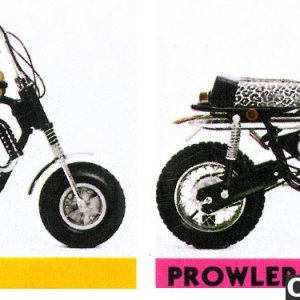 1972 Arctic Cat Whisker and Prowler Side by Side