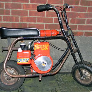 1970 Cat Need`s Paint