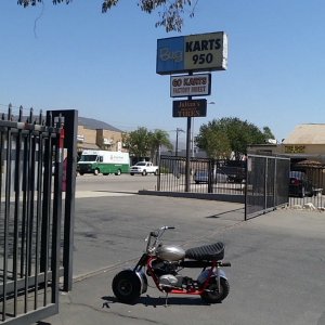 bug engineering and my trail scout