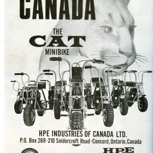 HPE Muskin Cat Ad 1970
