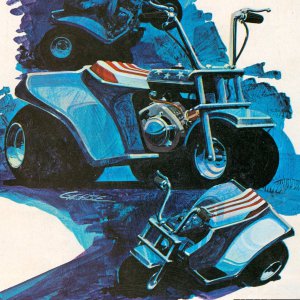 HPE Muskin Tri-Cat | OldMiniBikes.com