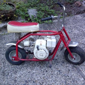 DING HOW / NOVA SS or RS MINI BIKE