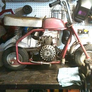 DING HOW / NOVA SS or RS MINI BIKE