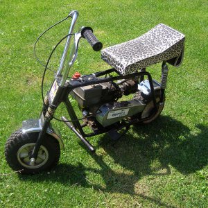 Bird | OldMiniBikes.com